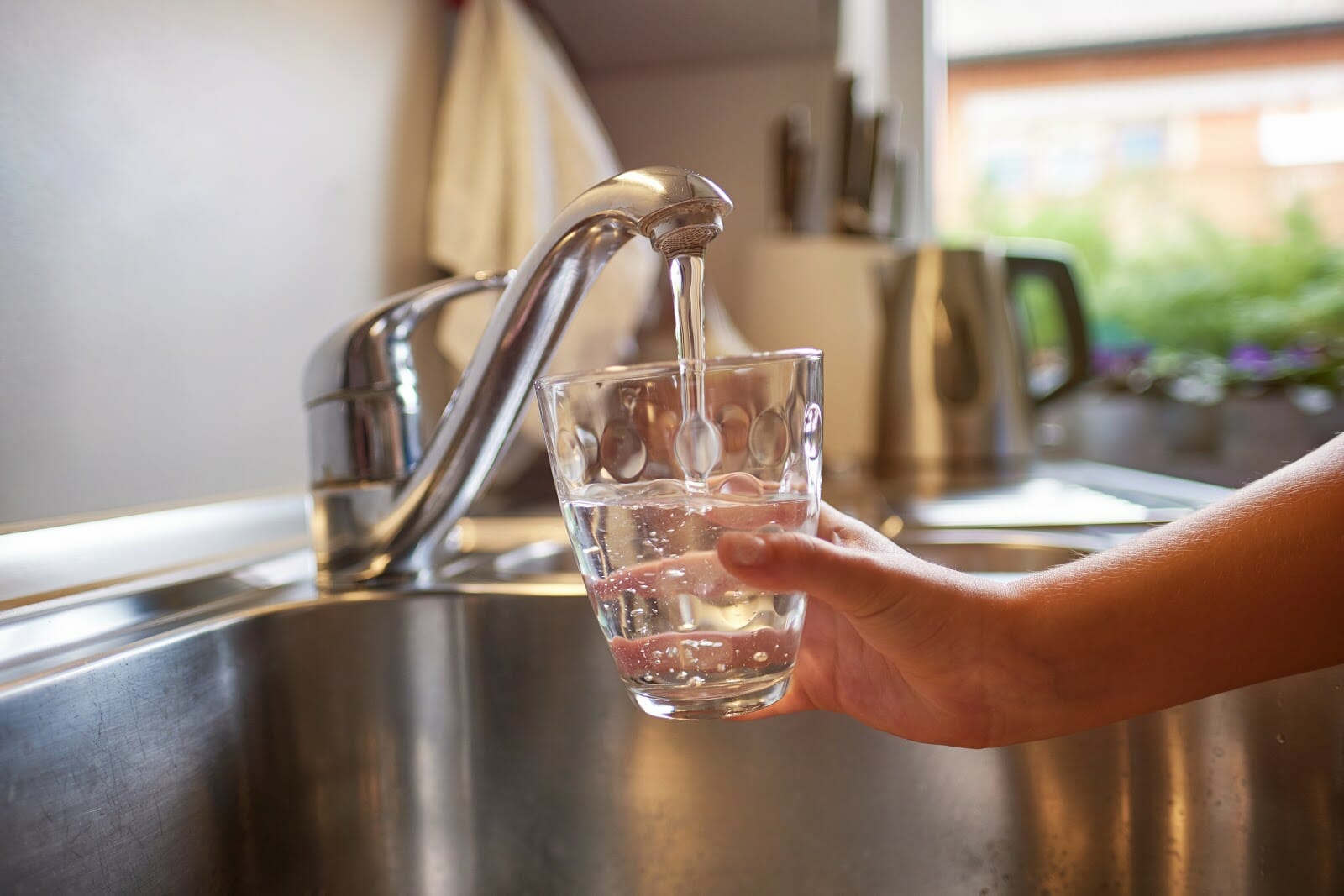 filtered water in a glass