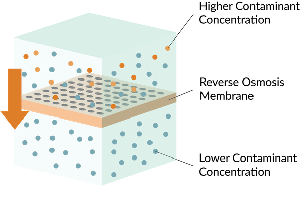 Reverse osmosis membrane 1