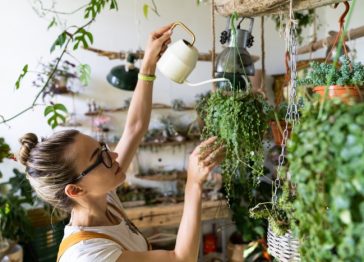 Woman using a watering can to water hanging indoor plants in a cozy home garden setting