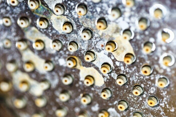 Hard water mineral buildup on a showerhead, showing the effects of calcium and magnesium deposits